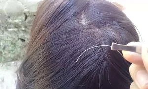 Có nên nhổ tóc bạc? Có nên nhổ tóc bạc?