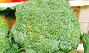 Ăn rau cải giúp cân bằng nội tiết tố thế nào? Ăn rau cải giúp cân bằng nội tiết tố thế nào?