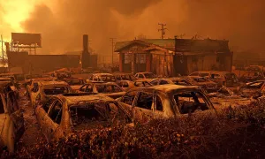 Los Angeles trước và sau thảm họa cháy rừng Los Angeles trước và sau thảm họa cháy rừng