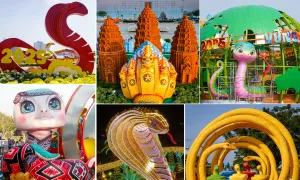 Linh vật Ất Tỵ trên cả nước Linh vật Ất Tỵ trên cả nước